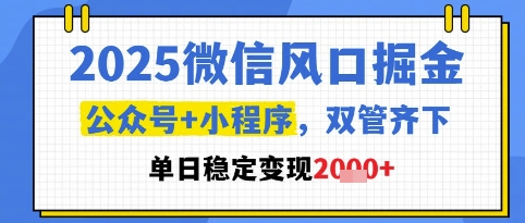 2025微信风口掘金，公众号+小程序双管齐下，单日稳定变现1k+【揭秘】-柚子网创