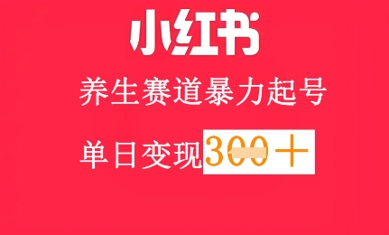 小红书养生赛道，暴力起号，轻松日入3张+-柚子网创