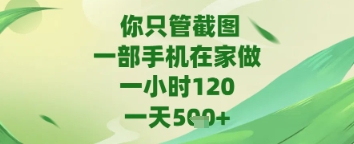 你只管截图，一部手机在家做，苹果安卓都可以，一天5张+【揭秘】-柚子网创