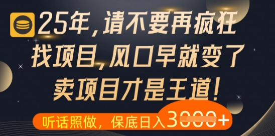 什么？25年你还在疯狂找项目做，醒醒吧，看完这些你全都懂了【揭秘】-柚子网创