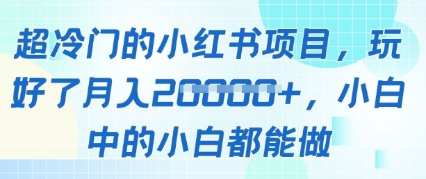 超冷门的小红书项目，玩好了月入过1w，小白中的小白都能做-柚子网创