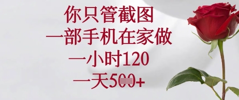 你只管截图，一部手机在家做，苹果安卓都可以，一小时120，一天5张+【揭秘】-柚子网创