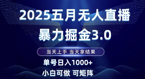 2025五月无人直播暴力掘金3.0，当天上手，当天拿结果，单号日入1k+小白可做可矩阵【揭秘】-柚子网创