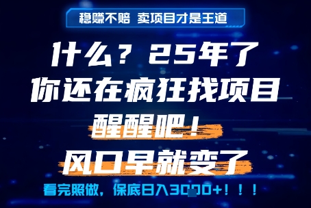 什么？25年你还在疯狂找项目做，醒醒吧，看完这些你全都懂了！【揭秘】-柚子网创