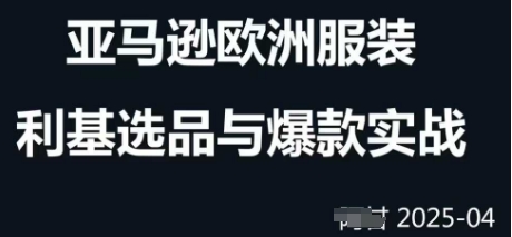 跨境电商选品案例24-25年，聚焦跨境电商选品策略与运营优化，助力卖家挖掘蓝海市场-柚子网创