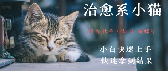 拆解，疯狂火爆！抖音，小红书，视频号小猫治愈的视频，轻松制作+快速拿到结果-柚子网创