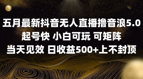 2025五月最新无人直播撸音浪单日产出5张+实操教程【揭秘】-柚子网创