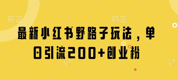 最新小红书野路子玩法，单日引流200+创业粉-柚子网创