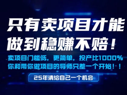 只有卖项目才能做到稳挣不赔，门槛低，更简单，你也可以年入百个W【揭秘】-柚子网创