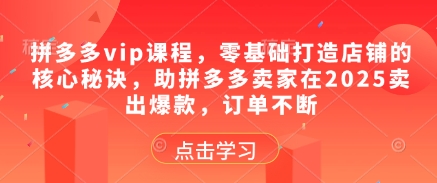 拼多多vip课程，零基础打造店铺的核心秘诀，助拼多多卖家在2025卖出爆款，订单不断-柚子网创