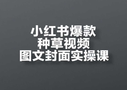 小红书爆款种草视频图文封面实操课，​开店、选品、引流、变现全流程-柚子网创