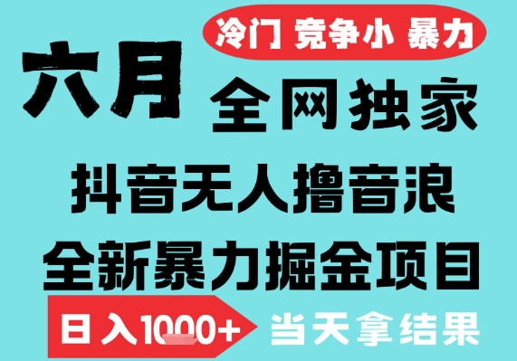 2025年6月高爆抖音无人直播最新撸音浪掘金项目，无脑日入1k+，低门槛小白可做，可矩阵放大【揭秘】-柚子网创