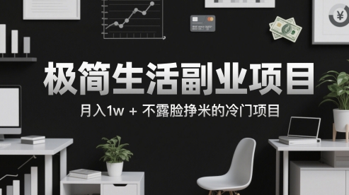 极简生活副业项目，月入1w+不露脸挣米的冷门项目-柚子网创