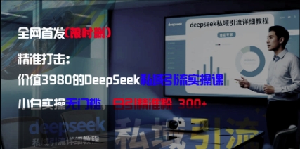 精准打击：价值3980的DeepSeek私域引流实操课，小白实操无门槛，日引精准粉300+-柚子网创