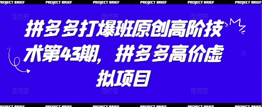 拼多多打爆班原创高阶技术第43期，拼多多高价虚拟项目-柚子网创