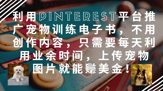 利用Pinterest平台推广宠物训练电子书，不用创作内容，只需要每天利用业余时间，上传宠物图片就能挣美金!-柚子网创