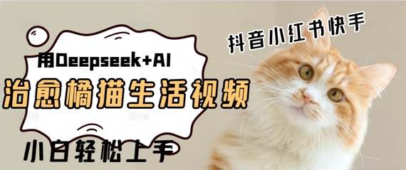 疯狂火爆，用Deepseek+AI做治愈橘猫系列视频，小白轻松制作+快速拿到结果-柚子网创