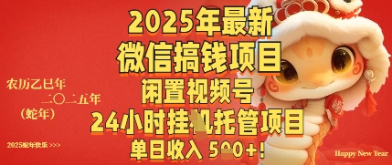 2025年最新微信搞钱项目，闲置视频号年24小时挂G托管项目，单日收入多张-柚子网创