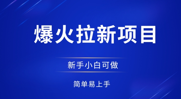 爆火拉新项目，有手就行，小白轻松入门，日入1张拉新整套流程-柚子网创