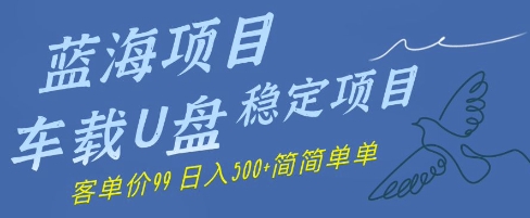 蓝海项目车载U盘稳定项目，挣的就是信息差，客单价99，日入几张简简单单-柚子网创