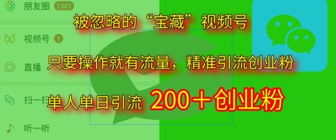 被忽略的“宝藏”视频号引流精准创业粉单人单日引流200+精准粉-柚子网创