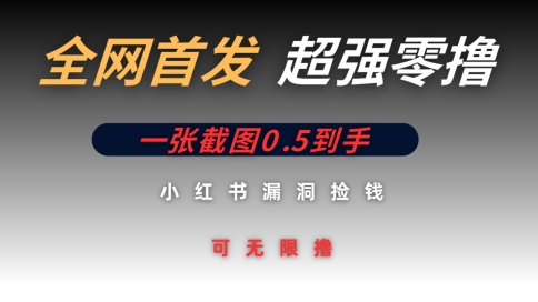全网首发无限零撸捡钱项目，小红书一张截图0.5元可无限零撸-柚子网创