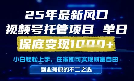 25年最新风口，视频号托管项目，单日保底变现1k+，手把手教学【揭秘】-柚子网创