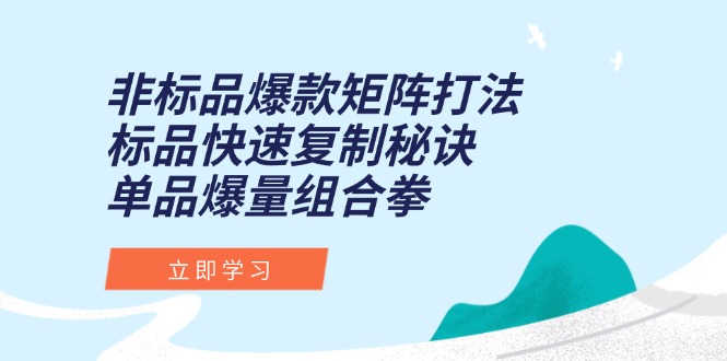 （15068期）非标品爆款矩阵打法，标品快速复制秘诀，单品爆量组合拳-柚子网创