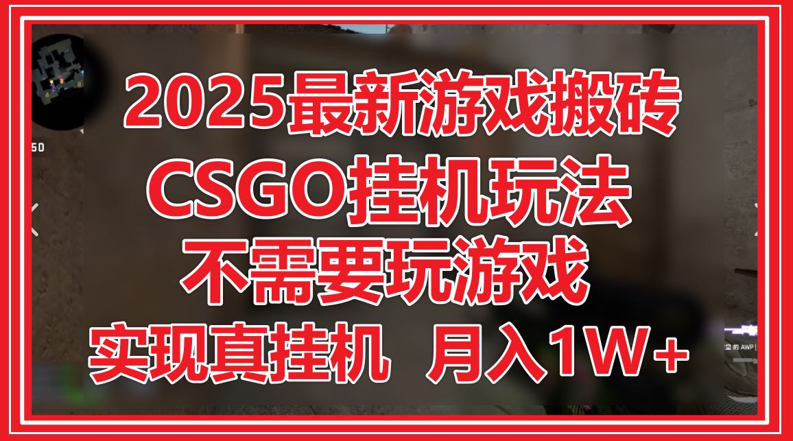（14743期）2025最新游戏搬砖，CSGO挂机，不需要玩游戏，实现真挂机，月入1W+-柚子网创