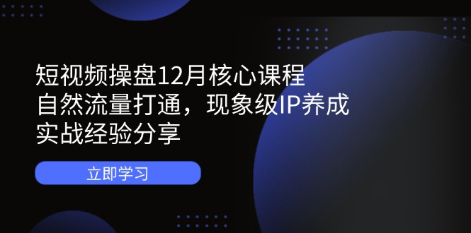 （14447期）短视频操盘12月核心课程：自然流量打通，现象级IP养成，实战经验分享-柚子网创