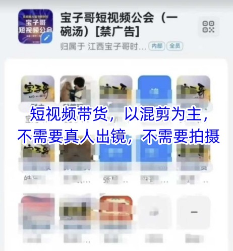 宝子哥头部团队短视频带货，以混剪为主，不需要真人出镜，不需要拍摄-柚子网创